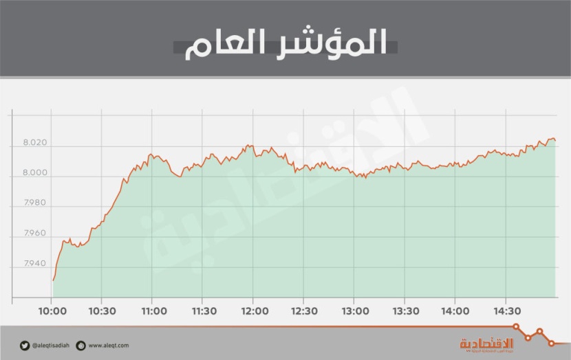 رغم ضعف السيولة .. الأسهم السعودية تستعيد مستوى 8000 نقطة بقيادة «المصارف»