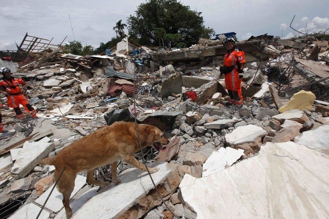 باحثون في سويسرا يبتكرون "كلبا إلكترونيا" لإنقاذ ضحايا الكوارث
