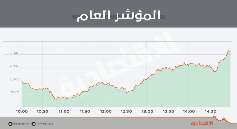 الأسهم السعودية تستعيد حاجز 8000 نقطة بدعم «المواد الأساسية» .. والسيولة ترتفع 29 %
