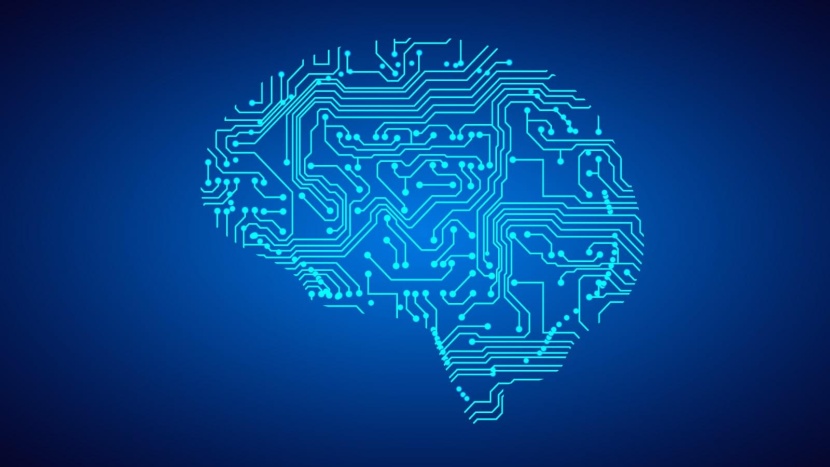 الذكاء الاصطناعي يبحث عن ذكاء «فطري»