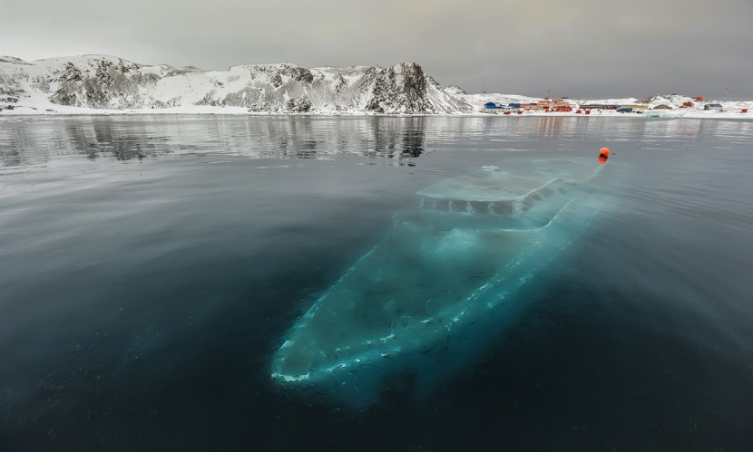 "جرين بيس": قارة أنتارتيكا ملوثة بالبلاستيك و الميكروبلاستيك