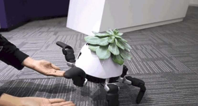 روبوت "عبقري" لهواة تربية النباتات