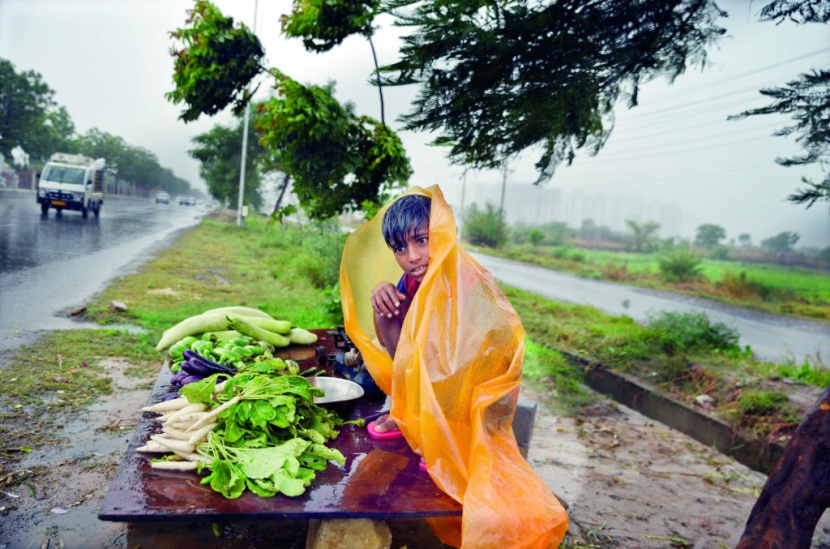 بيع رغم طفل هندي يبيع الخضار على جانب الطريق في مدينة جريتر نويدا، ويضع على رأسه غطاء من البلاستيك خلال هطول الأمطار الشديد