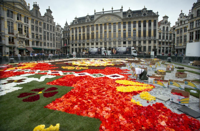 سجادة زهور زاهية تأسر الأنظار في وسط بروكسل رغم حرارة الصيف