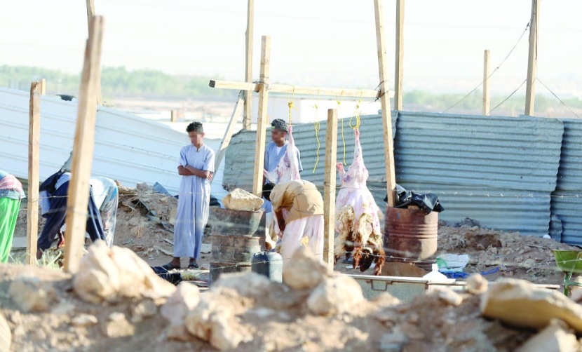 بعمالة مخالفة.. مواطنون يهربون من زحام المسالخ النظامية