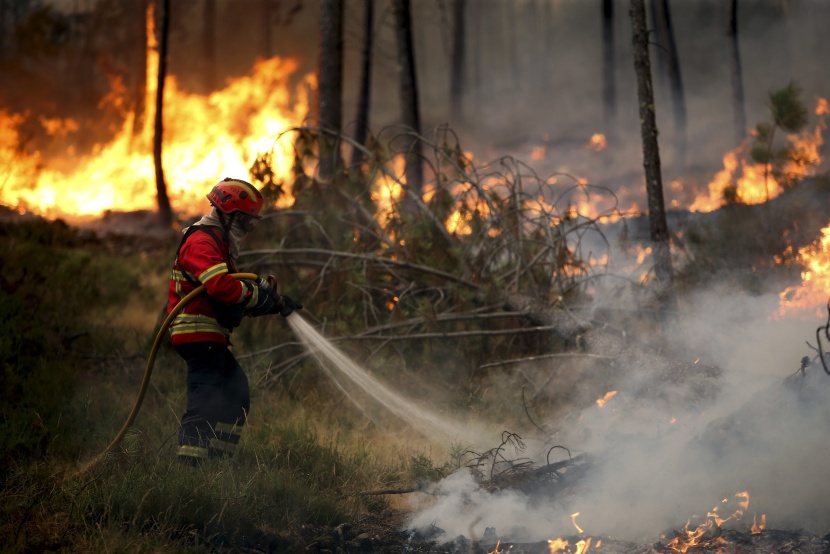 حرائق الغابات في البرتغال تجبر أكثر من 250 شخصا على إخلاء منازلهم