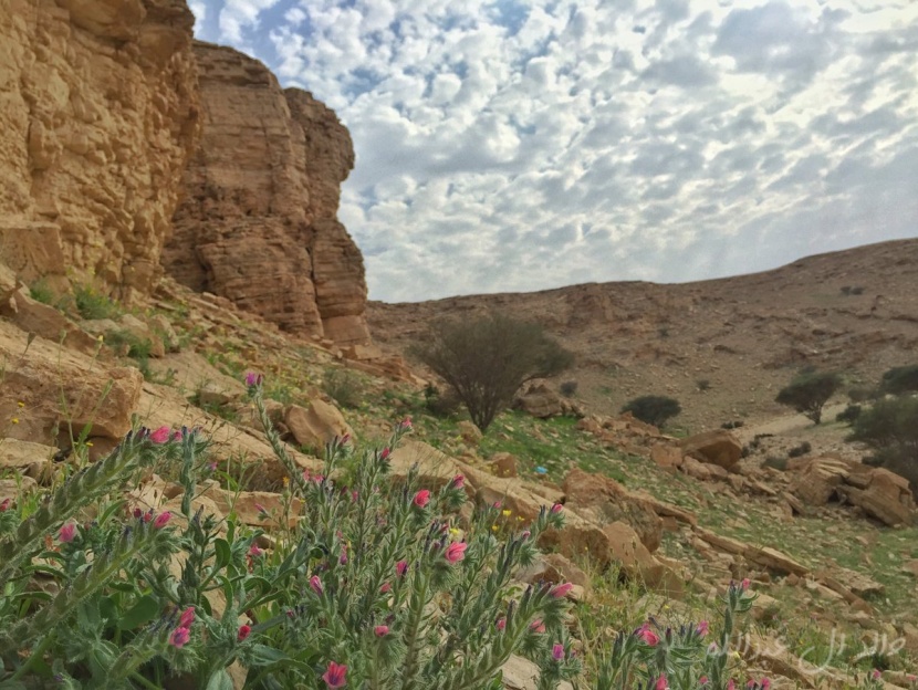 بعثة سعودية فرنسية تكشف عن مواقع يعود تاريخها إلى 100 ألف عام في جبال جنوب الرياض