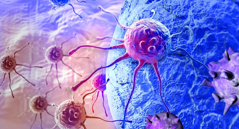 علماء يكتشفون طريقة مبتكرة للقضاء على أخطر أنواع السرطان