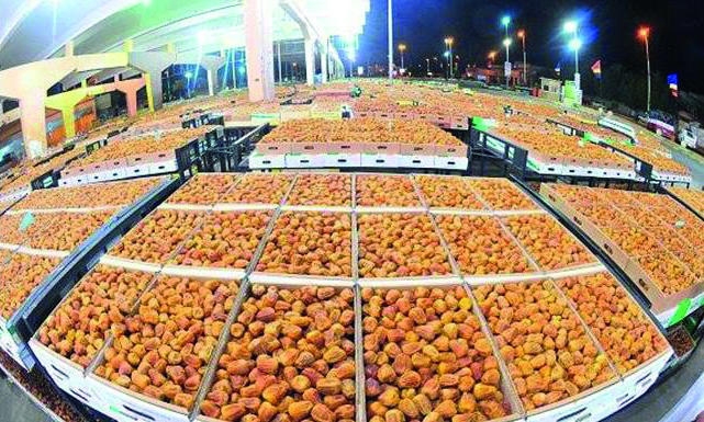 ببيع 7 ملايين كرتون.. «تمور بريدة» يختتم فعالياته