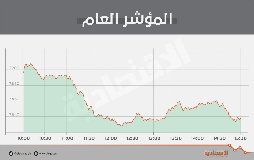 الأسهم السعودية تفقد مستوى 7900 نقطة مع استمرار ضغط "المصارف"