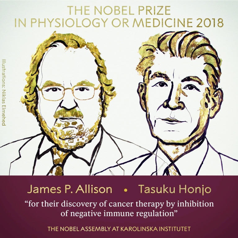 «معركة السرطان» تقود ثنائيا «أمريكيا - يابانيا» إلى «نوبل» في الطب