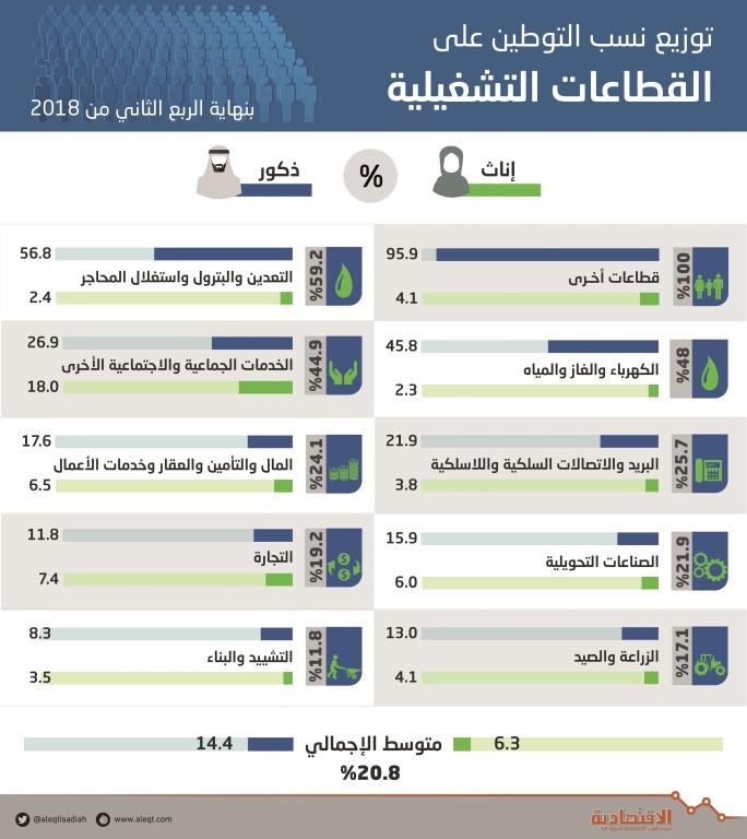 «التعدين» و«الكهرباء» أكثر القطاعات في نسب التوطين .. و«التشييد والبناء» أقلها