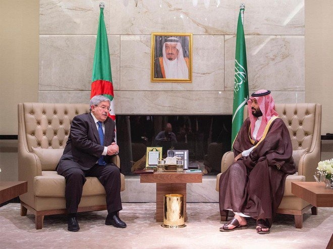  نقل العلاقات السعودية - الجزائرية إلى مستوى أعلى بمجلس تنسيقي مشترك 