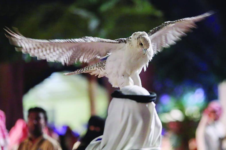 مهرجان الصقور يخصص 17.6 مليون ريال جوائز وسط مشاركات محلية وعالمية