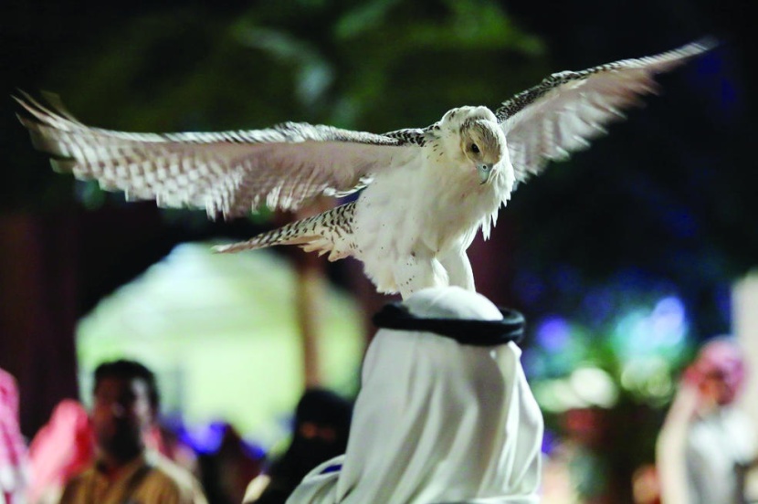 أمسيات شعرية وفنية تثري مهرجان الملك عبدالعزيز للصقور