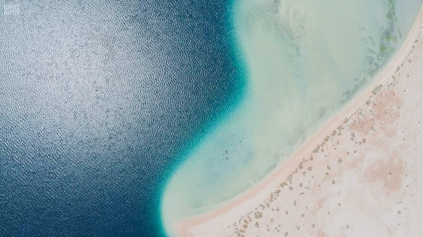تأسيس شركة مساهمة مقفلة لتطوير "نيوم" مملوكة لصندوق الاستثمارات العامة