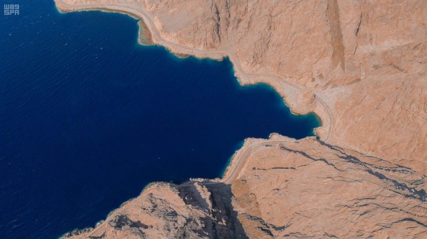 تأسيس شركة مساهمة مقفلة لتطوير "نيوم" مملوكة لصندوق الاستثمارات العامة