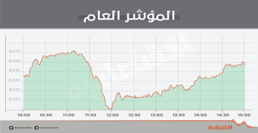 الأسهم السعودية تحافظ على مستويات 8000 نقطة .. قوى شرائية تواجه ضغوط البيع