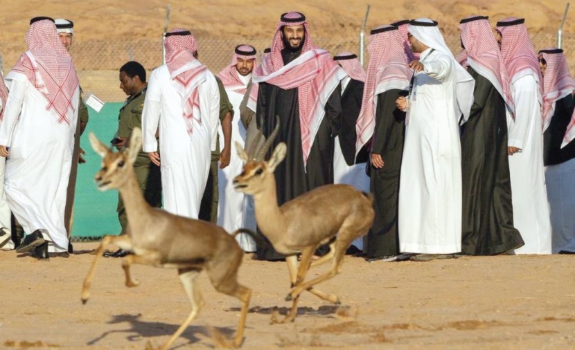 الأمير محمد بن سلمان يطلق محمية شرعان الطبيعية