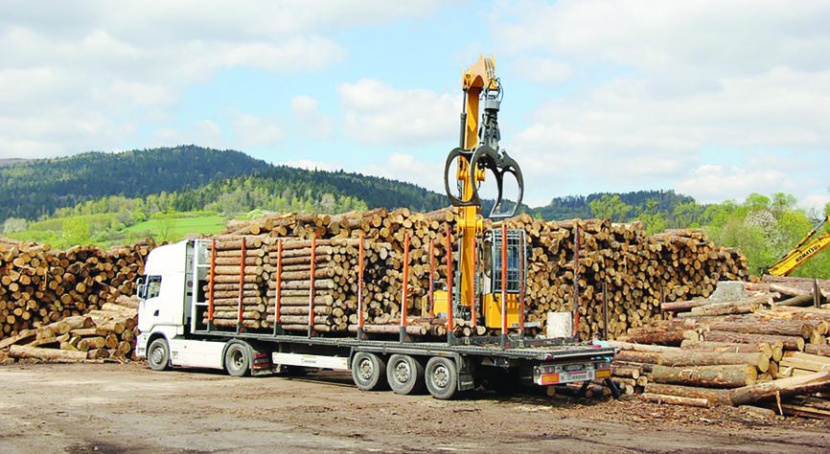 323 مليون ريال قيمة واردات المملكة من الأخشاب في 2018