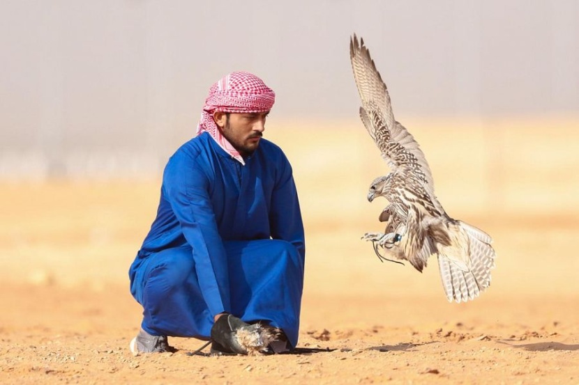  صقارو الإمارات يحصدون المراكز الأولى في مهرجان الملك عبدالعزيز