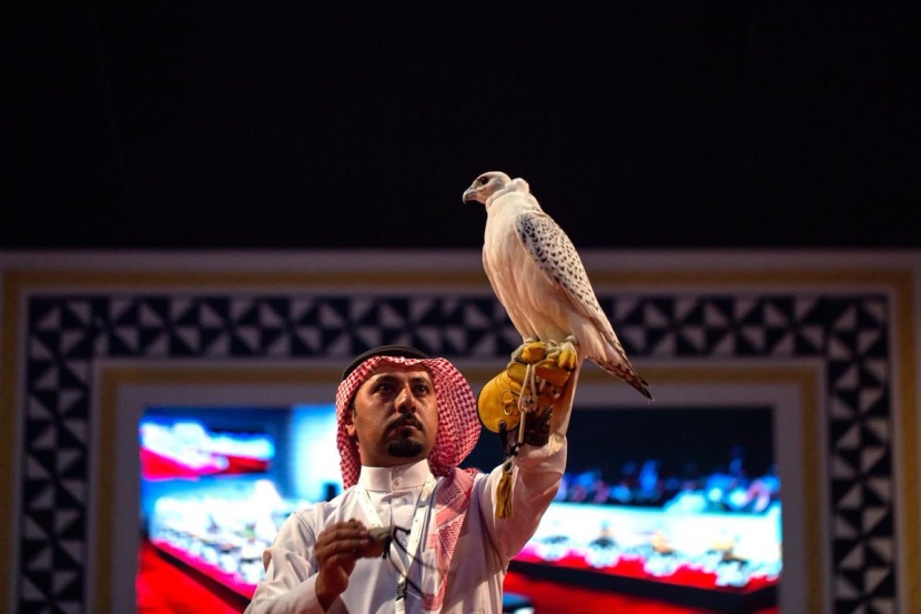 الهاجري والدامر يفوزان بجوائز مزاين الصقور في مهرجان الملك عبدالعزيز