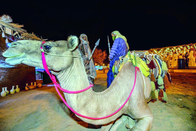 نادي الإبل يستكشف «الربع الخالي» 
بـ 100 مغامر