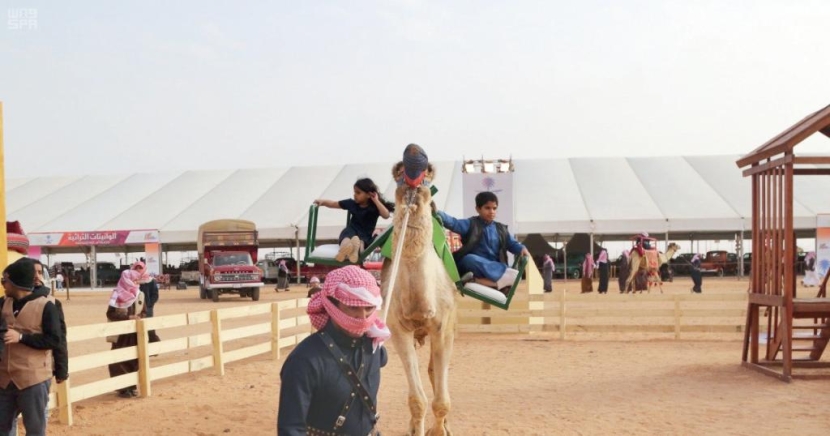 12 عرضا لهجانة عمان في مهرجان الملك عبدالعزيز للإبل