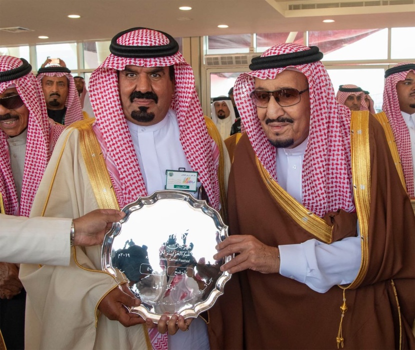 من يد الملك .. تتويج للإبل وملاكها 
