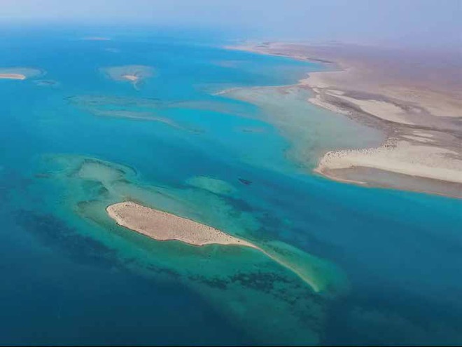   البحر الأحمر للتطوير تستضيف أول لقاء رسمي لمنسوبيها على أرض مشروعها