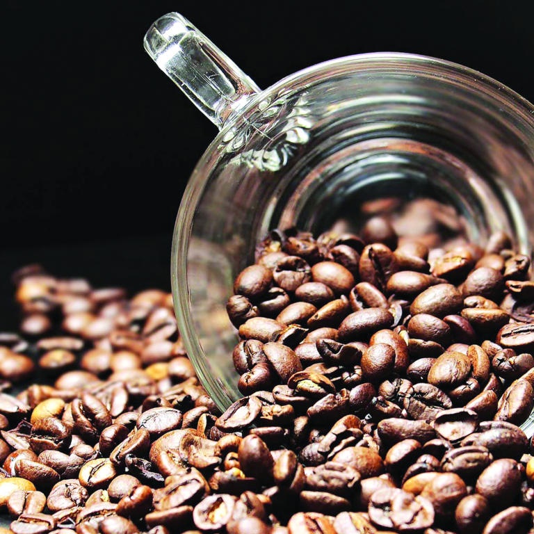 أمريكا اللاتينية .. هجر مزارع البن يتسبب في "جنون القهوة"