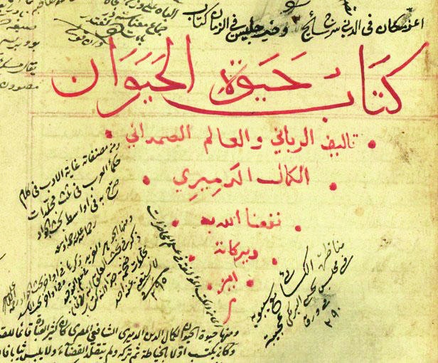 التمساح وعصفور القطقاط .. مصلحة مشتركة