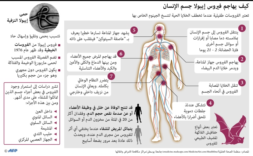 كيف يهاجم فيروس إيبولا جسم الإنسان ؟