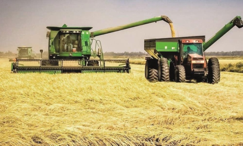 «الصندوق الزراعي» يعتمد قروضا بـ 536 مليون ريال لمشاريع زراعية في عام