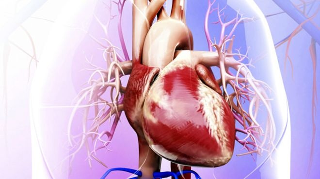 أمراض القلب القاتلة.. سبب رئيسي وحل بسيط جدا