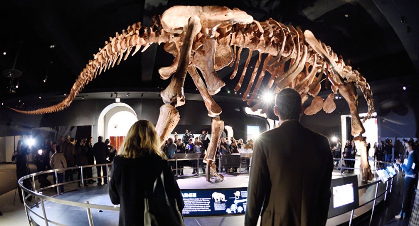 عرض هيكل ديناصور للبيع في دبي بـ 14 مليون درهم