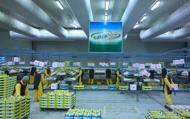 90 مليون ريال خسائر "تبوك الزراعية" خلال النصف الأول