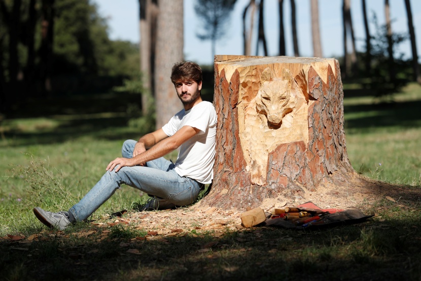 نحات إيطالي يحول جذوع الأشجار الميتة إلى منحوتات فنية