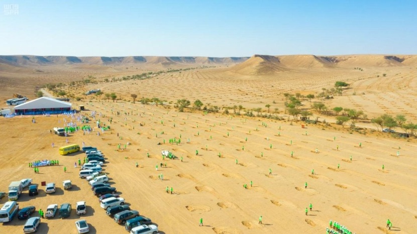 37 جهة حكومية وخاصة تشارك في إطلاق "حملة التشجير" بجميع مناطق السعودية