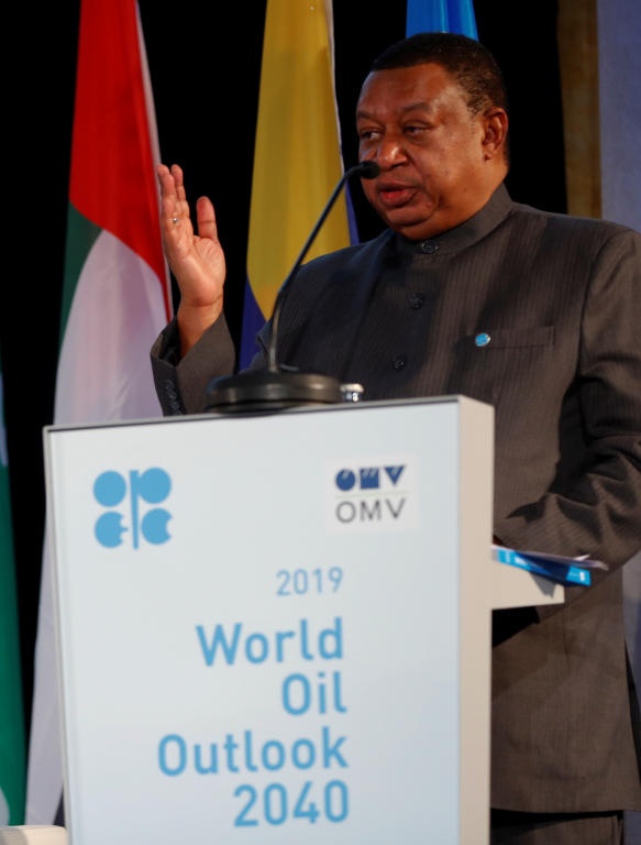 أمين «أوبك» لـ"الاقتصادية": طرح «أرامكو» إضافة قوية لصناعة النفط العالمية