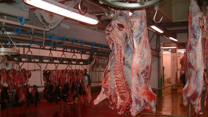 بنك حكومي برازيلي يخطط لبيع حصته في ثاني أكبر شركة لإنتاج اللحوم في العالم