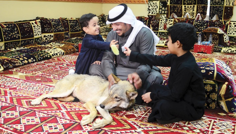 أسرة سعودية تعيش مع الذئاب منذ 11 عاما