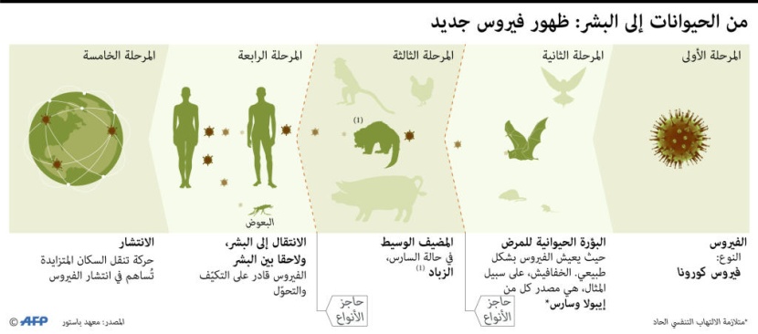 من الحيوان إلى الإنسان.. هكذا انتشر فيروس كورونا المستجد