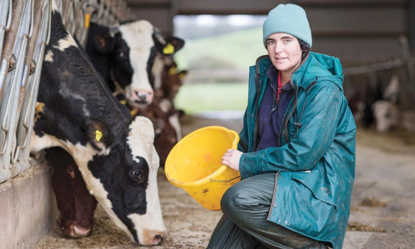 مربو الماشية في بريطانيا منزعجون من الأطعمة النباتية