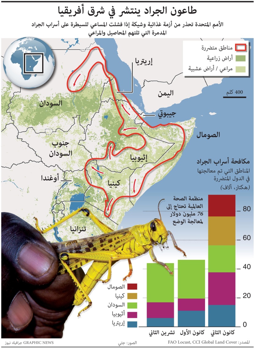 الجراد يهدد بأزمة غذائية في 5 دول إفريقية