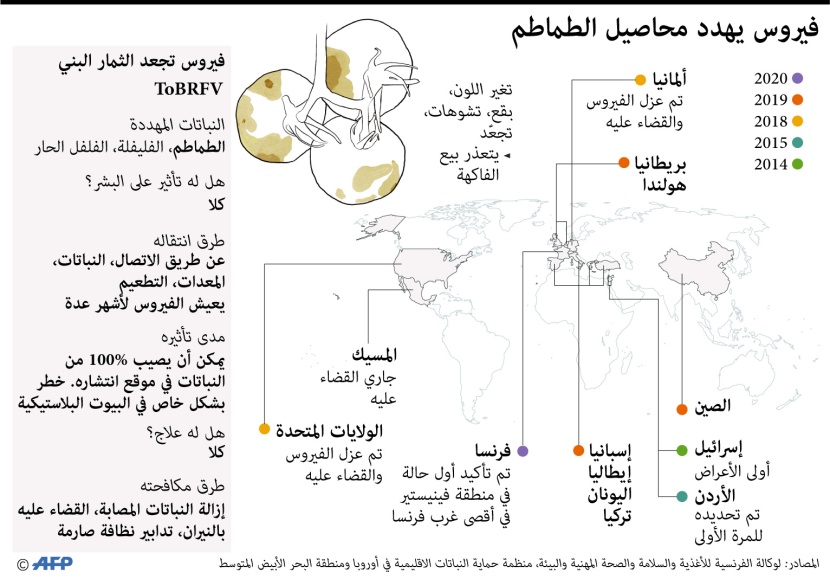 فيروس يهدد محاصيل الطماطم في العالم