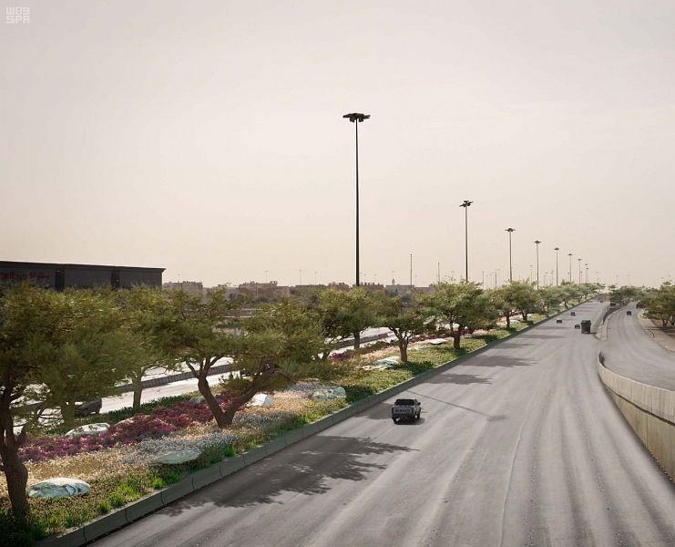  31 ألف شجرة باكورة مشاريع التشجير ضمن برنامج "الرياض الخضراء"