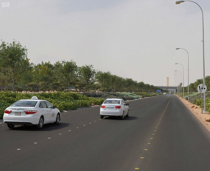  31 ألف شجرة باكورة مشاريع التشجير ضمن برنامج "الرياض الخضراء"