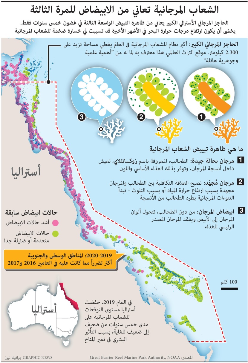ارتفاع درجات الحرارة يتسبب في خسارة ضخمة لشعاب الحاجز المرجاني الكبير