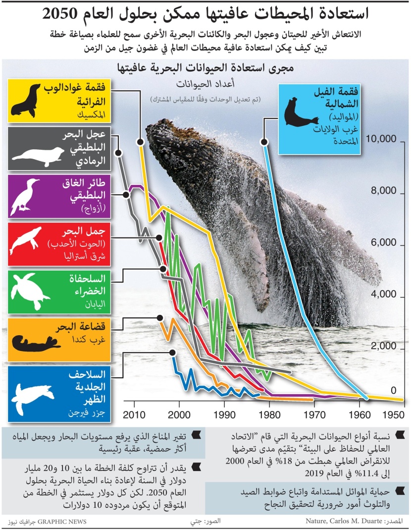 خطة تعيد للمحيطات عافيتها في 2050.. بتكلفة تصل إلى 20 مليار دولارسنويا